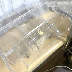 【お取引決定】サテライト水槽L とエアポンプのセットの画像