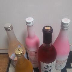 飲みやすいお酒沢山。