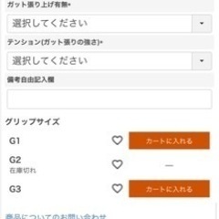 プリンス　テニスラケット　ビースト(BEAST)O3 300 2024年の画像
