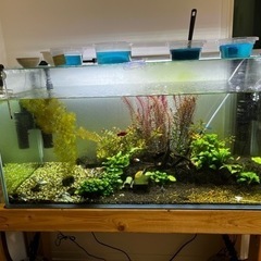 90センチ水槽　メガパワー60の2個セット