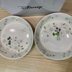 【新品】ディズニー☆  パスタ・カレー皿　2枚セット(グリーン)の画像