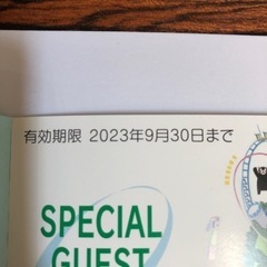 決まりました／特価！グリーンランド入場券の画像