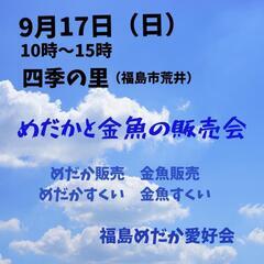 めだかと金魚の販売会
