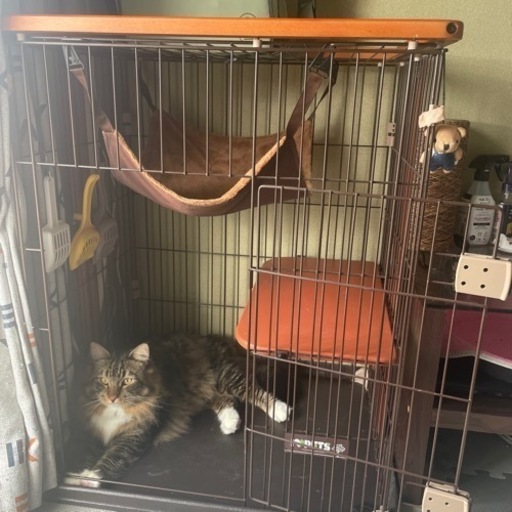 ポンピアルコンキャットゲージ