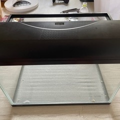 45センチ水槽セット  めだか 金魚