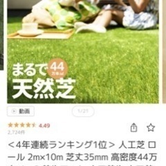 人口芝
