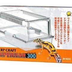 値下げ中古】レオパ　爬虫類　トカゲ　レプティギア300の画像