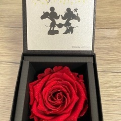 AMOROSA MODERNO Disney 最終値下げ