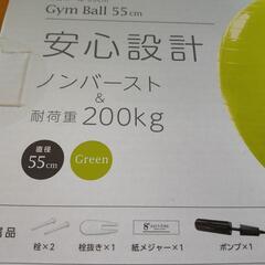 バランスボール 55cmの画像