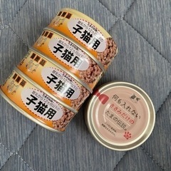 子猫 猫缶