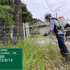 ‼️‼️‼️‼️‼️除草散布‼️‼️‼️‼️‼️の画像