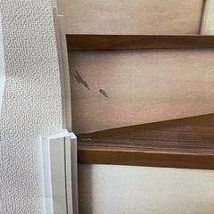 急募！  船橋、習志野　新京成近辺　リペアスタッフアルバイト、外注業者様募集中の画像