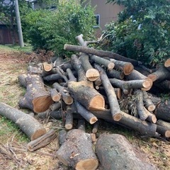 薪 原木枝 土曜日、日曜日に取りに来れるかた限定の画像