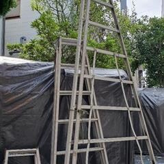 ハシゴ 2段はしご 全てセットで 植木屋造園業用