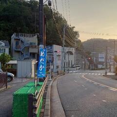 横須賀　メダカ無人販売　OPENの画像