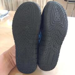 23cm  アクアシューズ　の画像