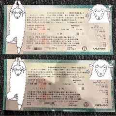 【本日】第36回利根川大花火大会　チケット２枚