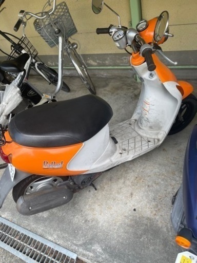 編付き