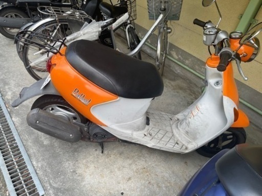 編付き