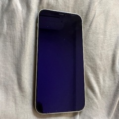 iphone12/64GB