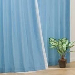 【ニトリ】花粉キャッチカーテン(キャッチCキュア セット販売）