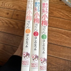 キジトラ猫の小梅さん1~3巻