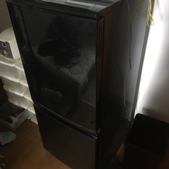 sharp 冷蔵庫
