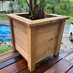 新品　スクエアプランター　鉢　の画像