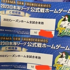 日本海リーグ　招待券　２枚