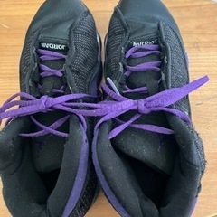 大幅値下げ‼️jordan 22センチバッシュ🏀バスケットシューズの画像