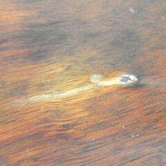 オールドマルニ センターテーブル 天板：ブビンガ材 脚：カリン材