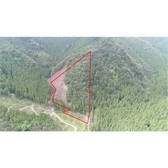 キャンプ地売ります