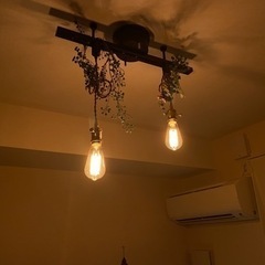 ライティングレール コード エジソン電球セットの画像