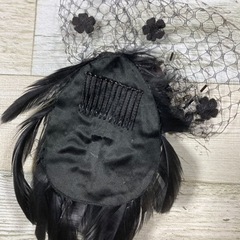 ヘアピンの画像