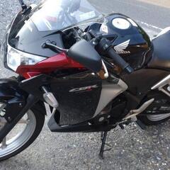 CBR250R MC41 整備済み　売れました。