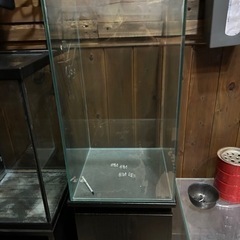 水槽 水槽台 濾過槽 他 熱帯魚 アクアリウム パルダリウムの画像
