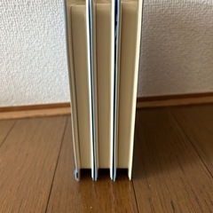 World family  Disney  ディズニー ワールドファミリー　DVDとCD 1.2.3 play along  プレイアロングの画像