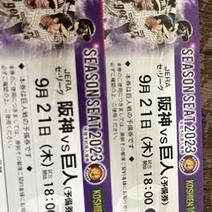 9/21(木)甲子園　阪神VS巨人　18時〜ライト外野ペア　通路側席