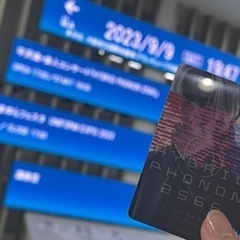 【第二回メンバーが集まれば開催予定！鹿児島の馬骨募集！】平沢進に...