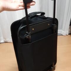 決定済　布地キャリーバッグの画像