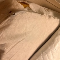  東池袋  無料 マットレス 二人乗り ですの画像