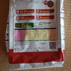 ドッグフード 柴専用 の画像