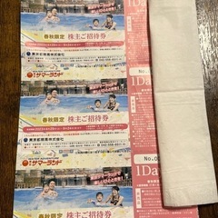 サマーランド  株主優待　1DAYパス