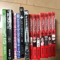 漫画13冊