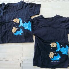 【値下げしました】子ども服　Tシャツ　美ら海水族館　ちゅらうみ水族館　110㎝　130㎝　ネイビーの画像