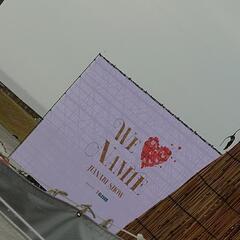 WE LOVE NAMIE HANABI SHOWチケット