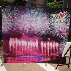 WE LOVE NAMIE HANABI SHOWチケットの画像