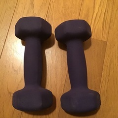 ダンベル2kg 2個セットの画像
