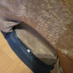 無料！座椅子の画像