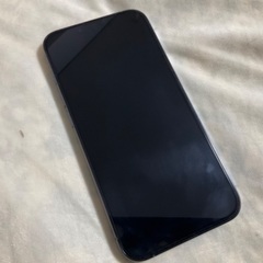 iPhone 13Pro 256G
